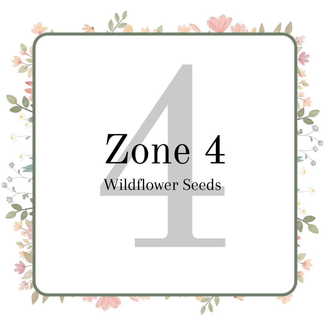 zone-4-wildflower-seeds-nature-s-garden-seed-company